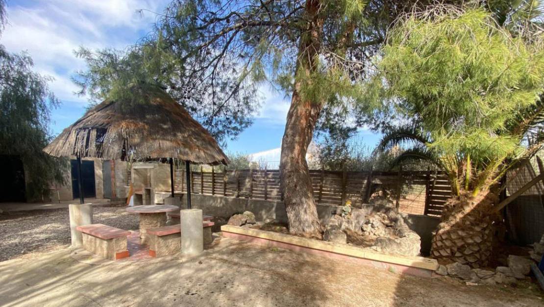 Sale - Villa - Jumilla - Jumilla Centro