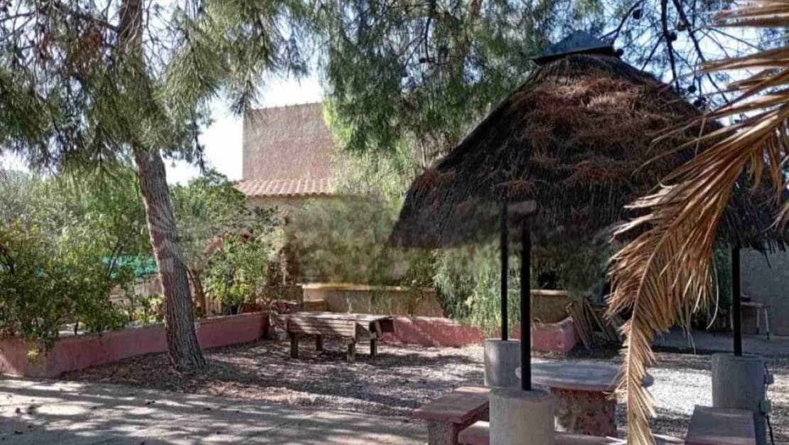 Sale - Villa - Jumilla - Jumilla Centro