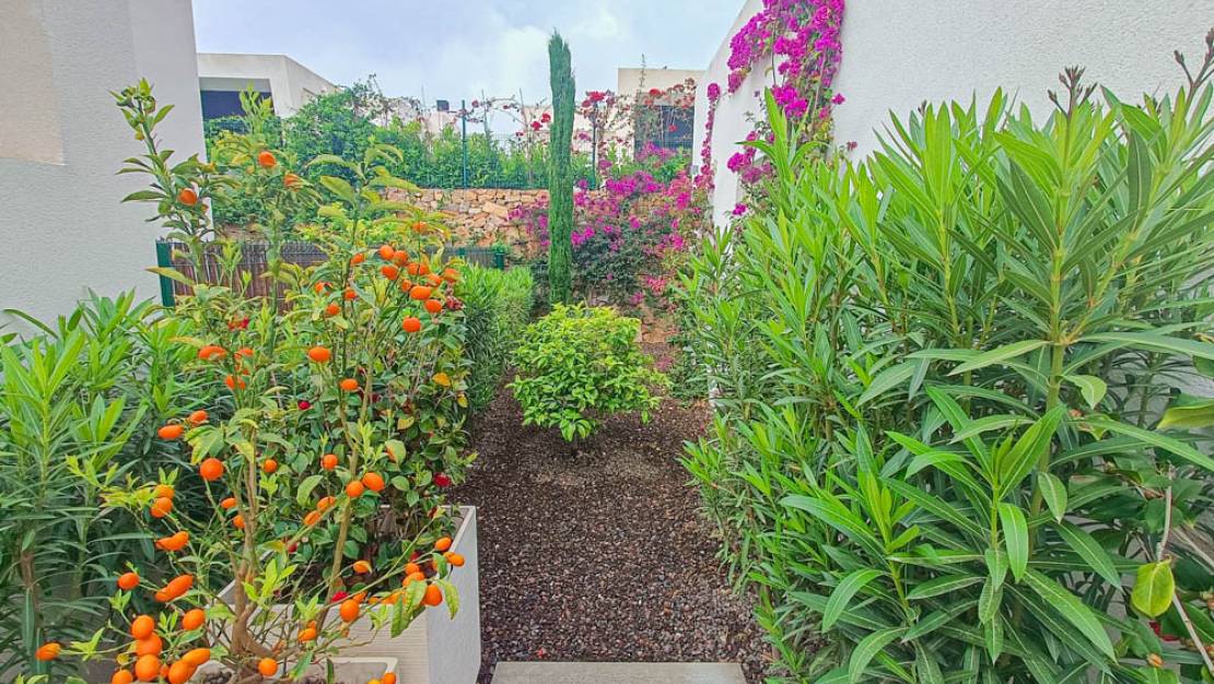 Sale - Villa - La Finca Golf and Spa Resort