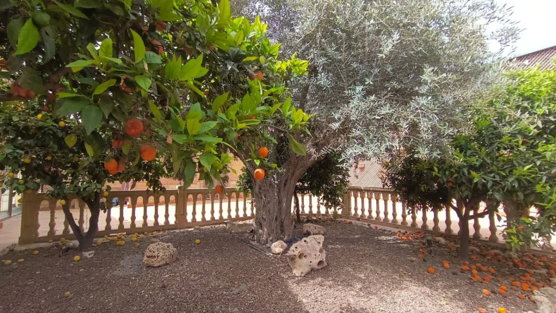 Sale - Villa - Lorca - Lorca Centro