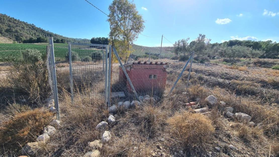 Sale - Villa - Lorca - Lorca Centro