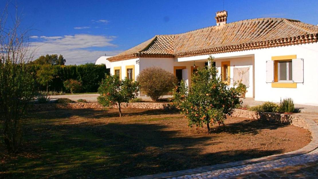 Sale - Villa - Lorca - Lorca Centro