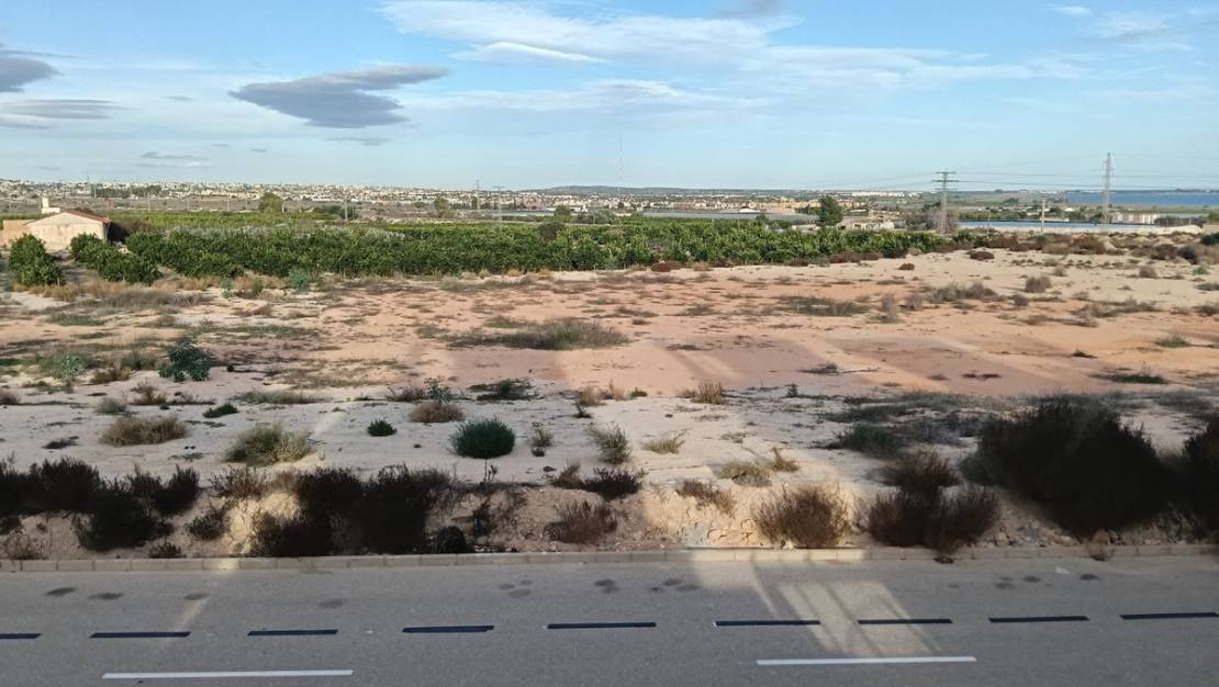 Sale - Villa - Los Montesinos - Los Montesinos Centro