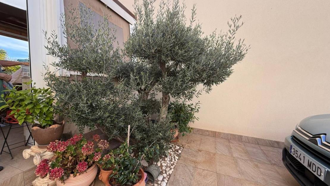 Sale - Villa - Los Montesinos - Los Montesinos Centro