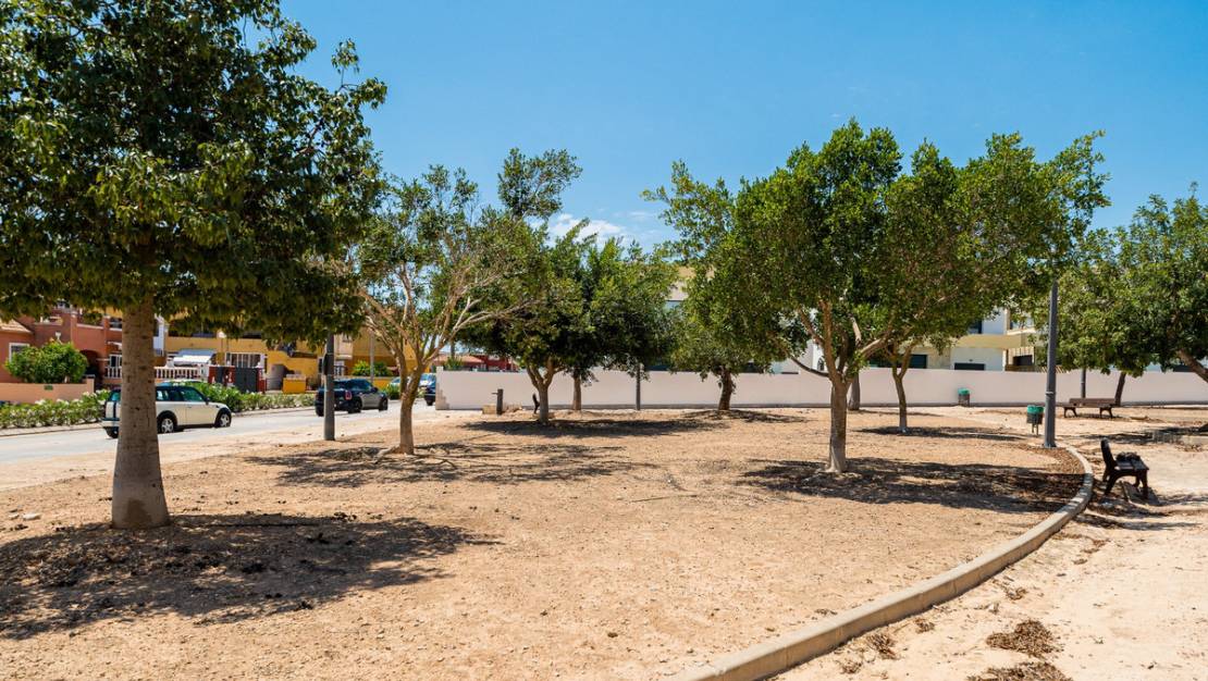 Sale - Villa - Los Montesinos - Los Montesinos Centro