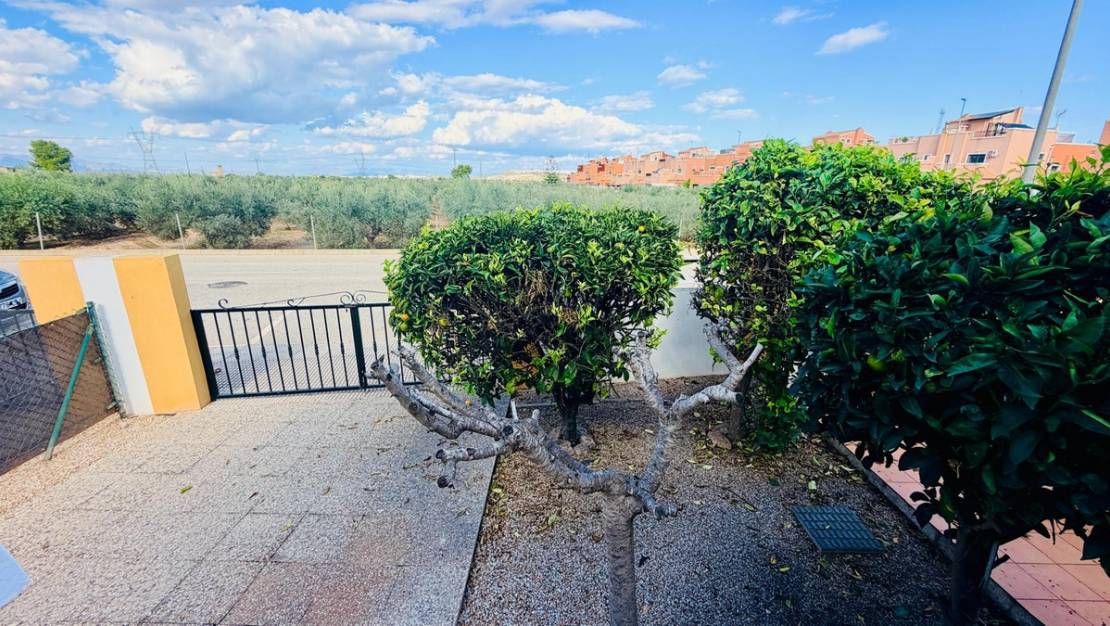 Sale - Villa - Los Montesinos - Los Montesinos Centro