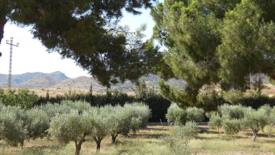 Sale - Villa - Mazarron - La Atalaya