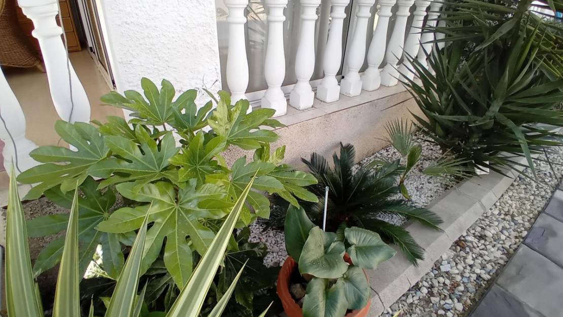 Sale - Villa - Mazarron - Mazarrón Centro