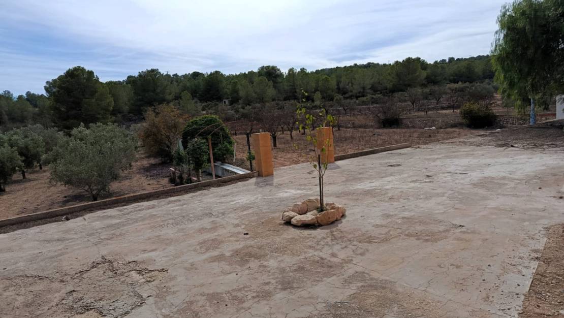 Sale - Villa - Monóvar - Monòver - Monóvar - Monòver Centro