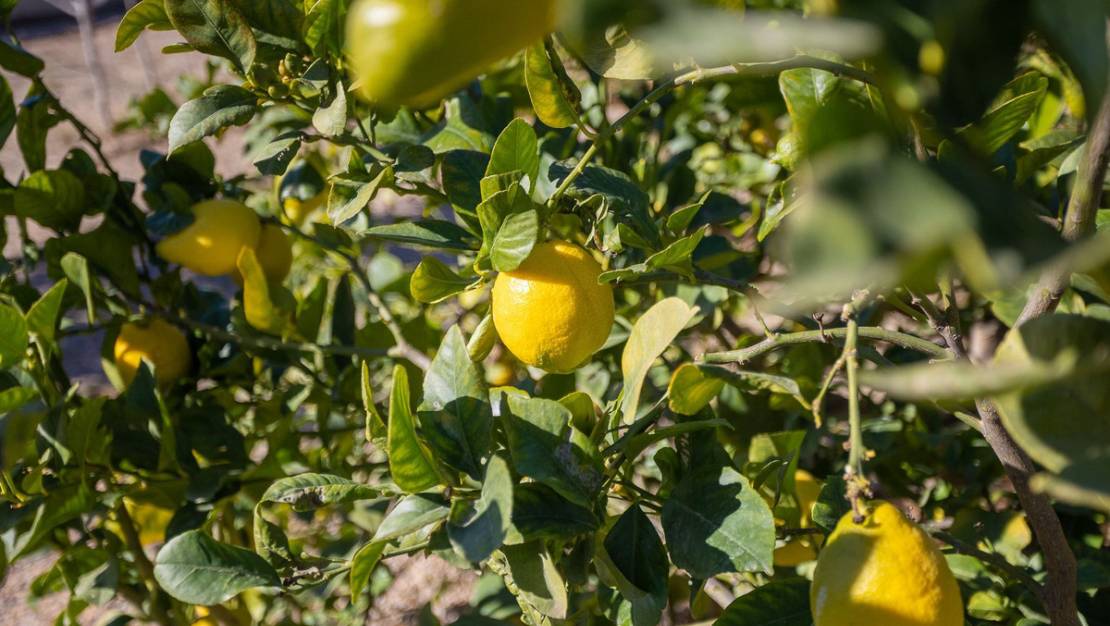 Sale - Villa - Murcia - Corvera