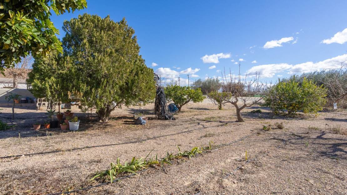 Sale - Villa - Murcia - Corvera