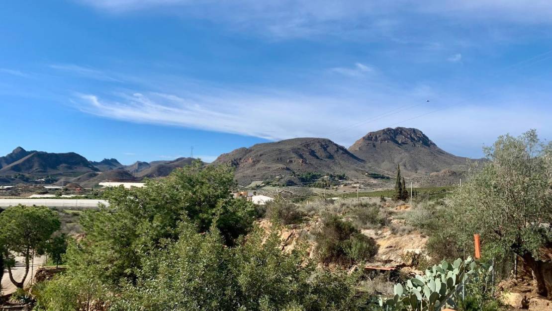 Sale - Villa - Murcia - El Cocon