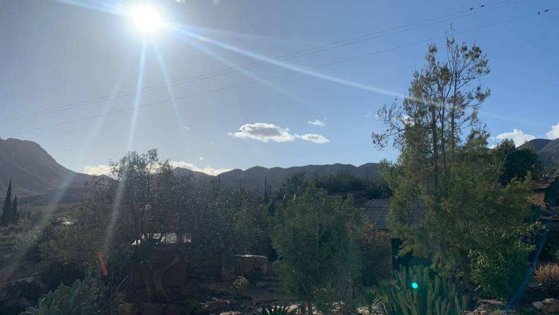 Sale - Villa - Murcia - El Cocon