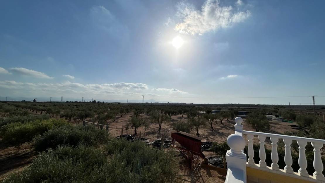 Sale - Villa - Murcia - Fuente Álamo de Murcia