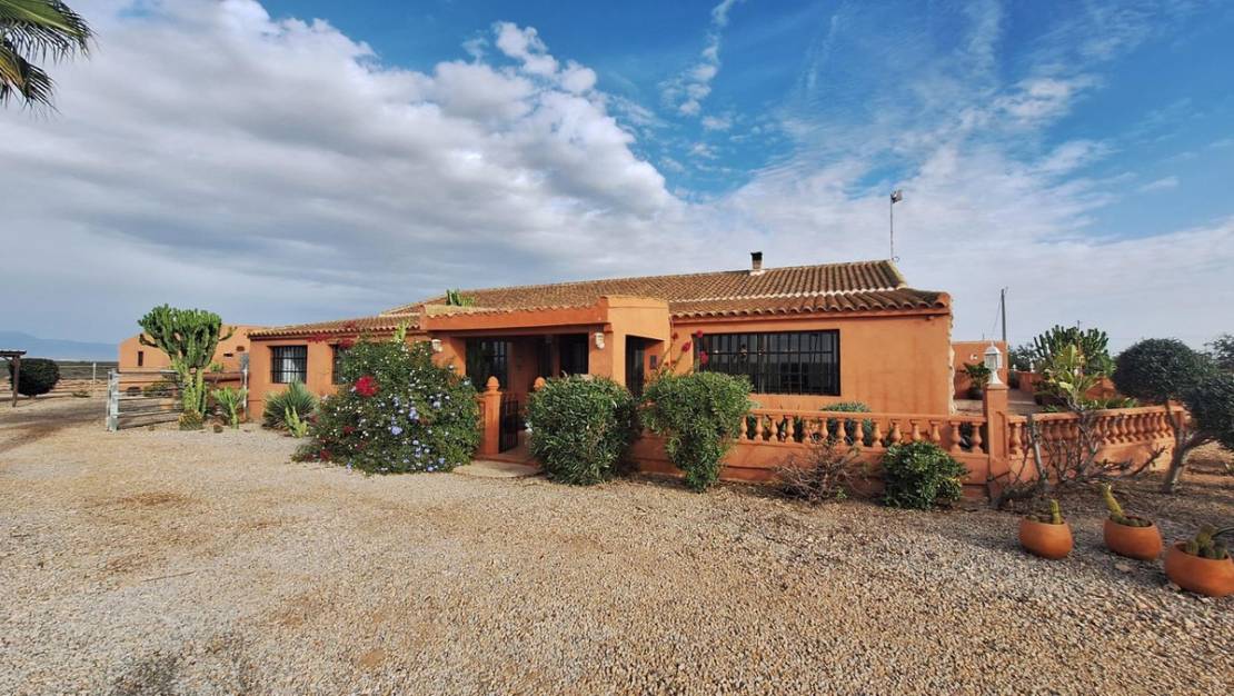 Sale - Villa - Murcia - Fuente Álamo de Murcia