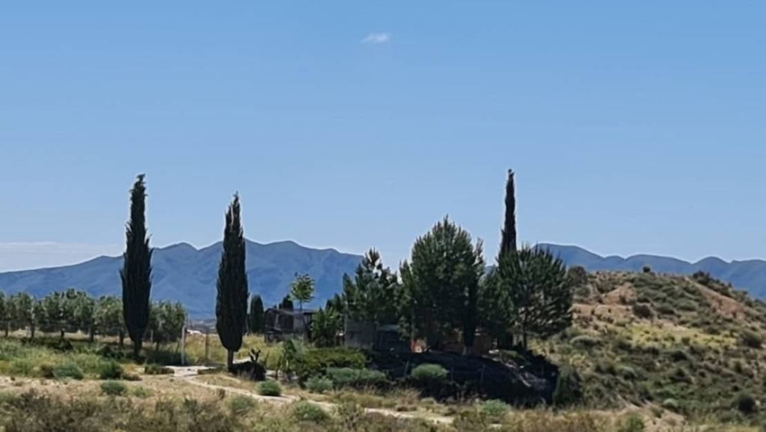 Sale - Villa - Murcia - Murcia Centro