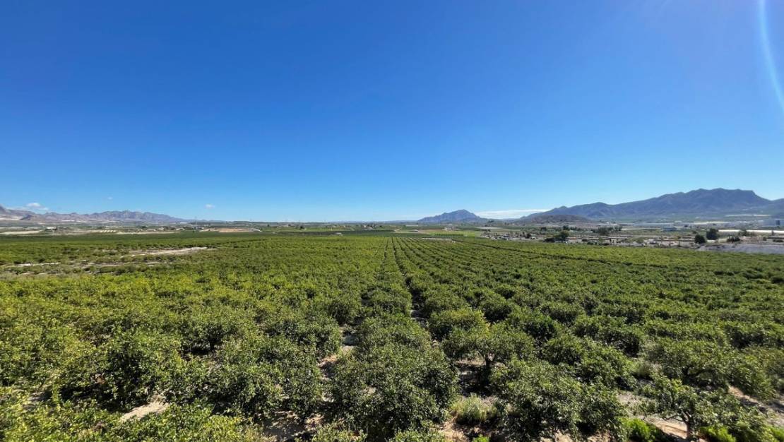 Sale - Villa - Murcia - Murcia City