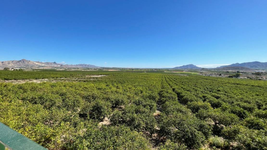 Sale - Villa - Murcia - Murcia City