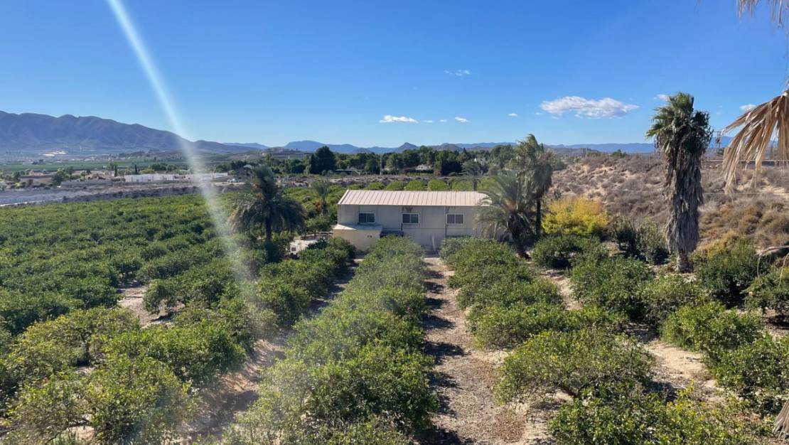 Sale - Villa - Murcia - Murcia City