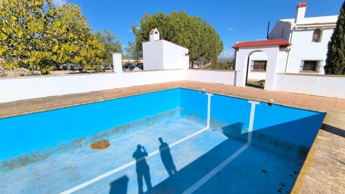 Sale - Villa - Novelda - Novelda Centro