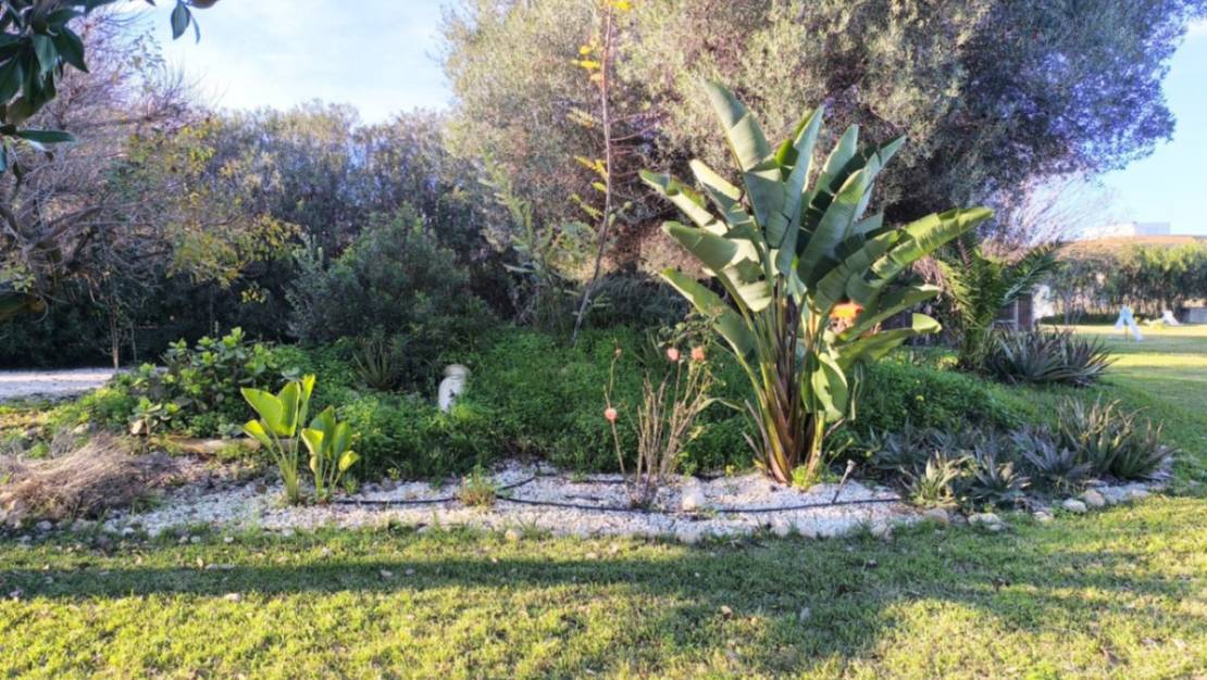 Sale - Villa - Ondara - Ondara Centro