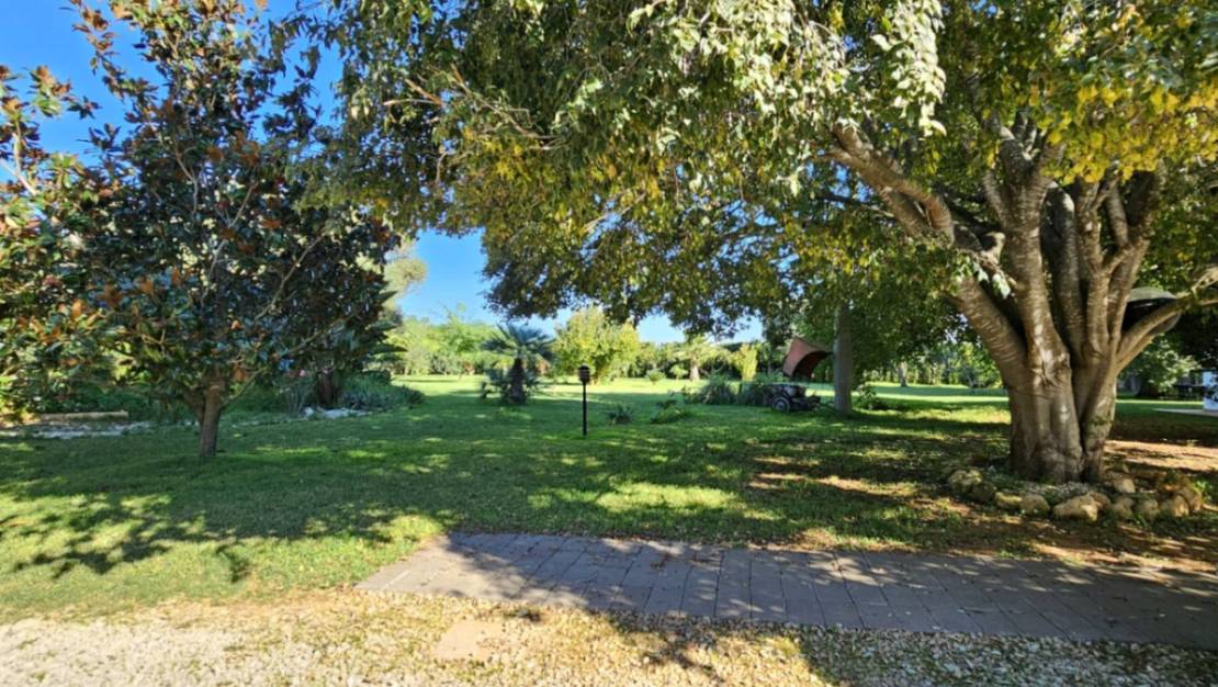 Sale - Villa - Ondara - Ondara Centro