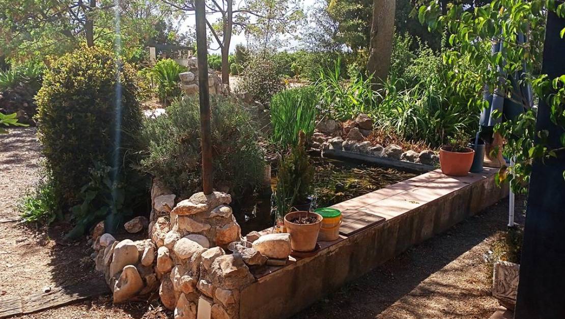 Sale - Villa - Ondara - Ondara Centro