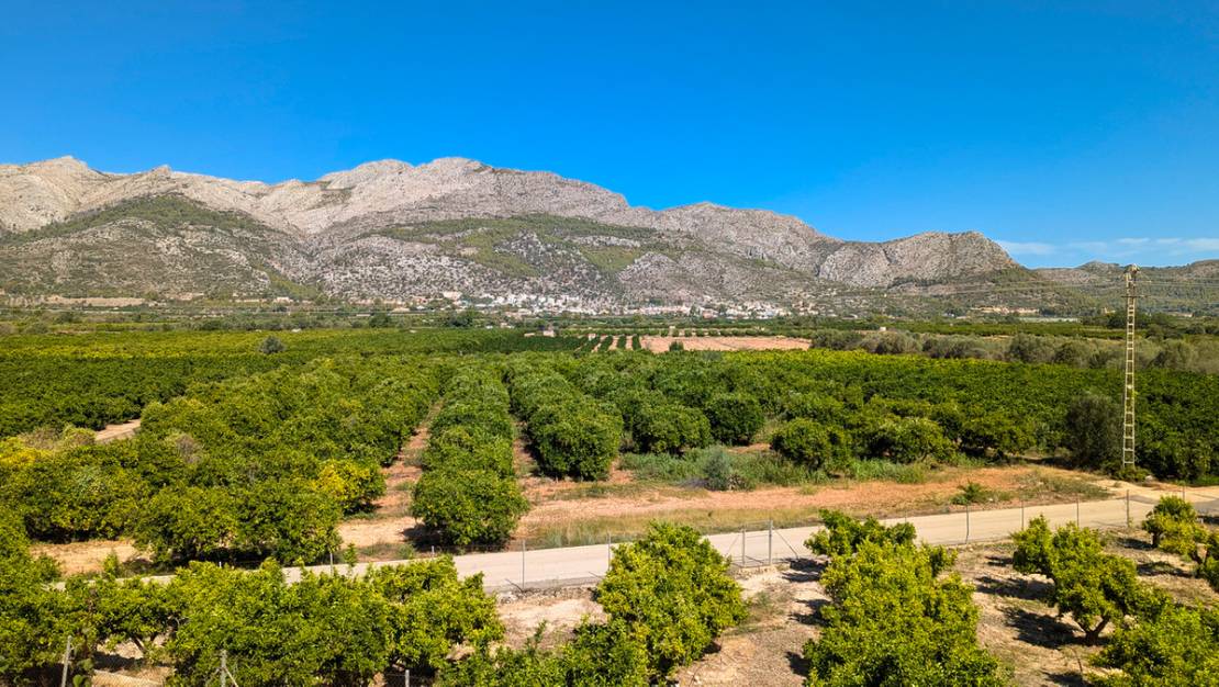 Sale - Villa - Orba - Orba Centro