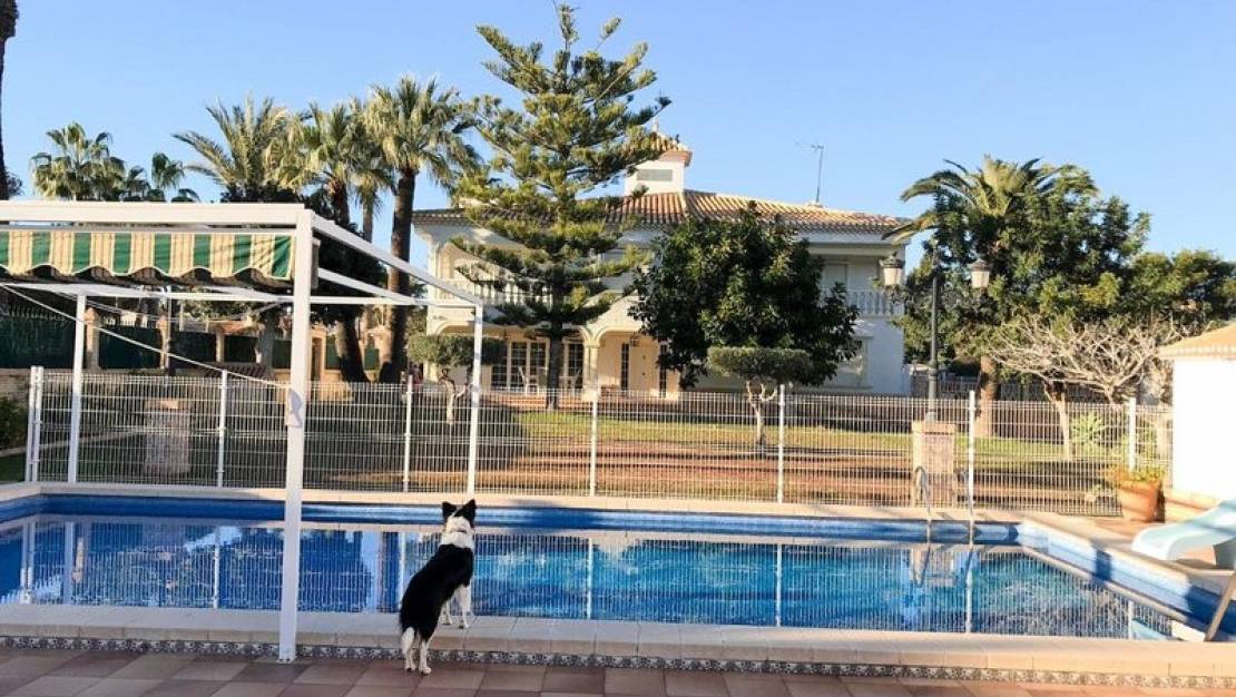 Sale - Villa - Orihuela - Cabo Roig