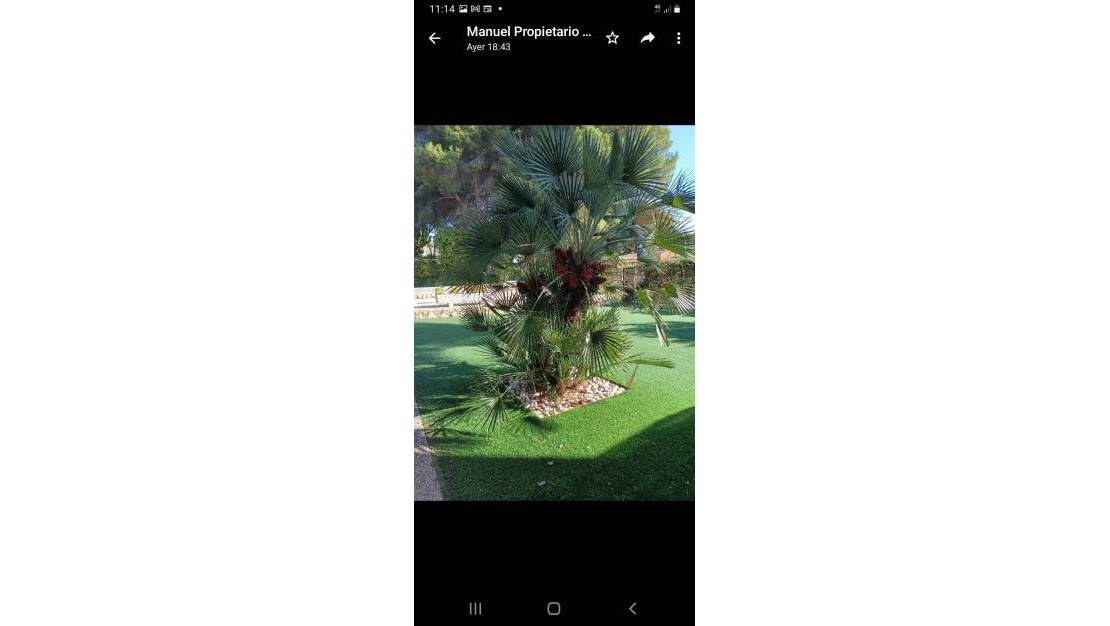 Sale - Villa - Orihuela - Campoamor