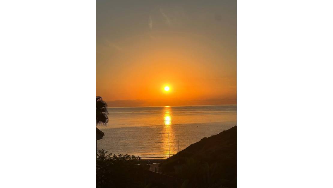 Sale - Villa - Orihuela - Campoamor