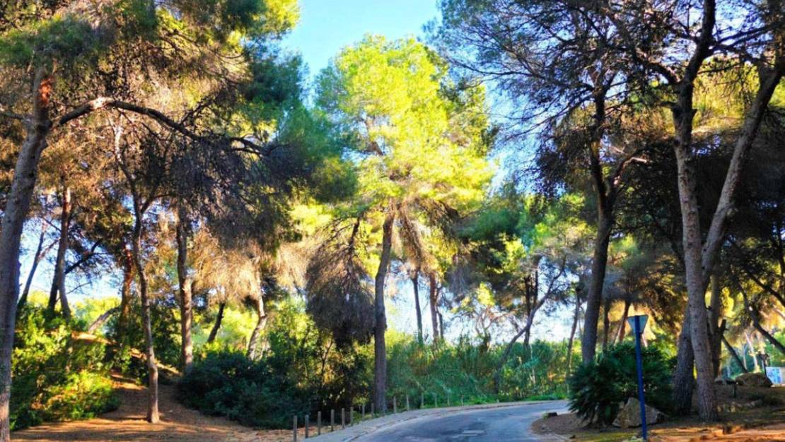 Sale - Villa - Orihuela - Campoamor