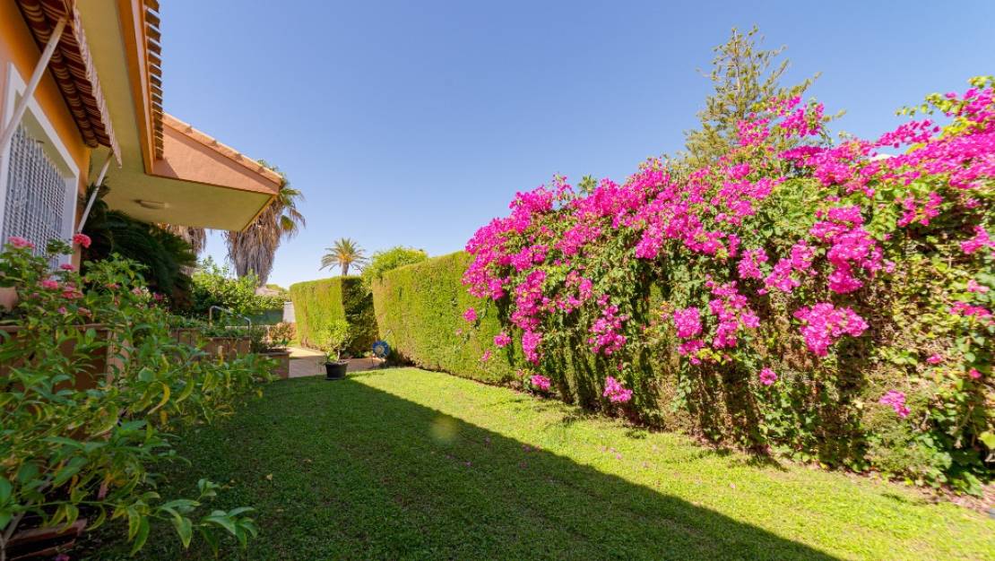 Sale - Villa - Orihuela - Campoamor