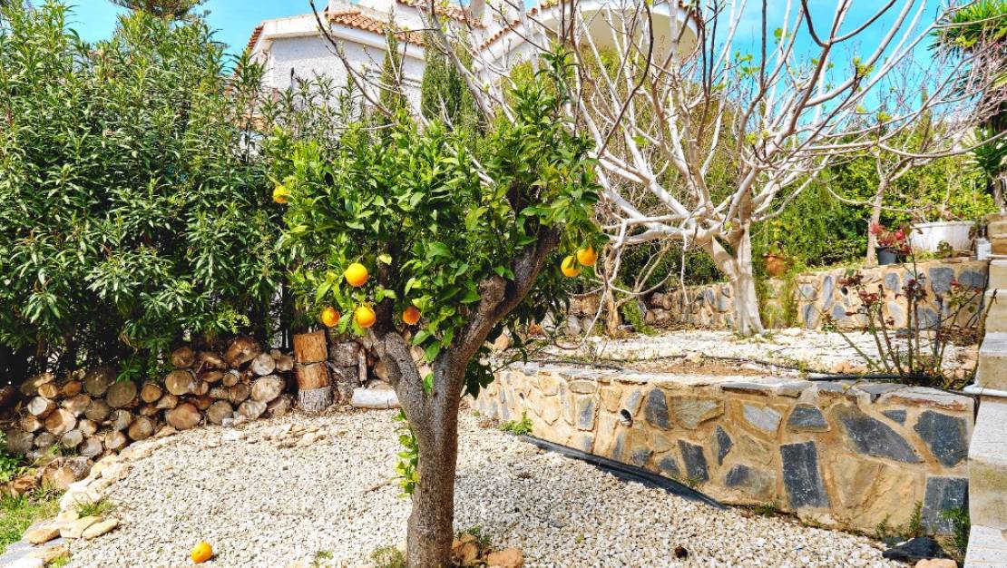 Sale - Villa - Orihuela - Dehesa de Campoamor