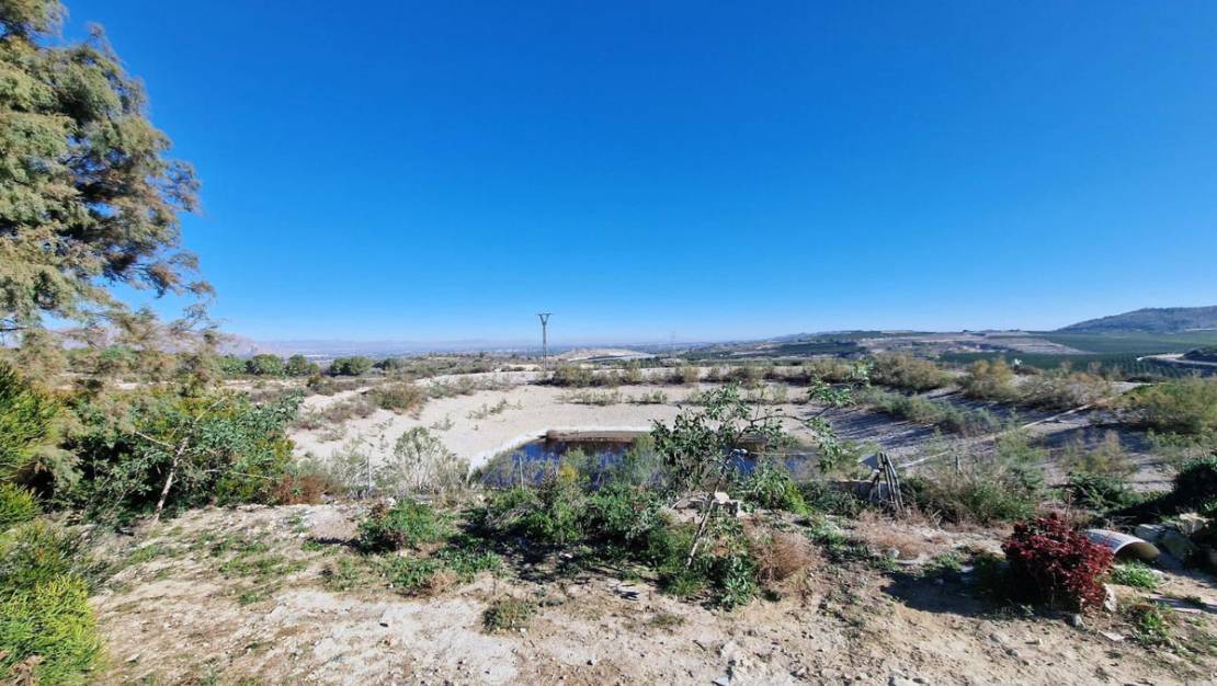 Sale - Villa - Orihuela - Hurchillo