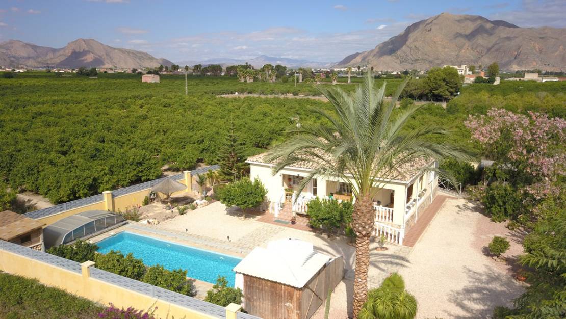 Sale - Villa - Orihuela - La Campaneta