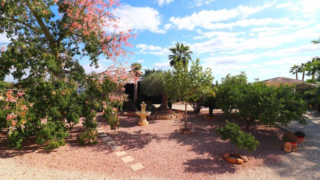 Sale - Villa - Orihuela - La Campaneta