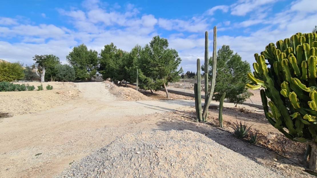 Sale - Villa - Orihuela - La Matanza