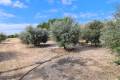 Sale - Villa - Orihuela - La Matanza