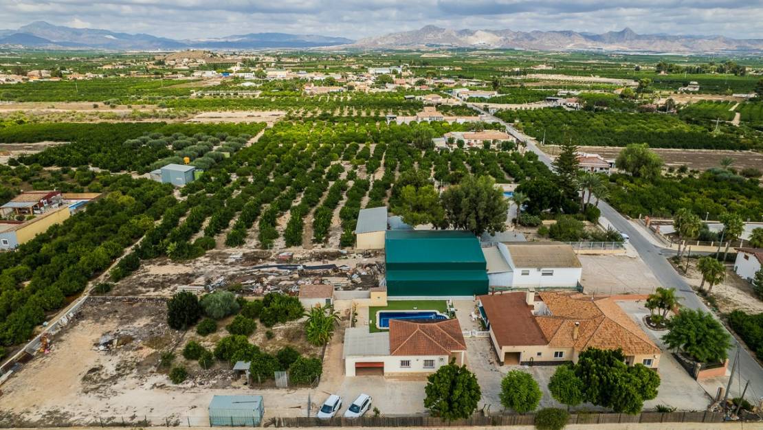 Sale - Villa - Orihuela - La Matanza