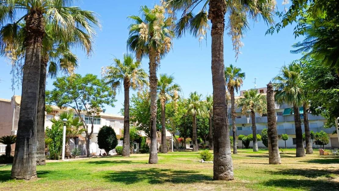 Sale - Villa - Orihuela - La Regia