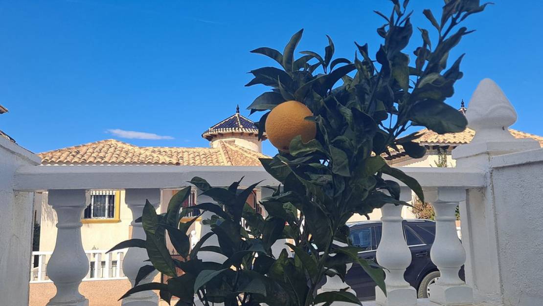 Sale - Villa - Orihuela - La Zenia