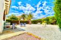 Sale - Villa - Orihuela - La Zenia