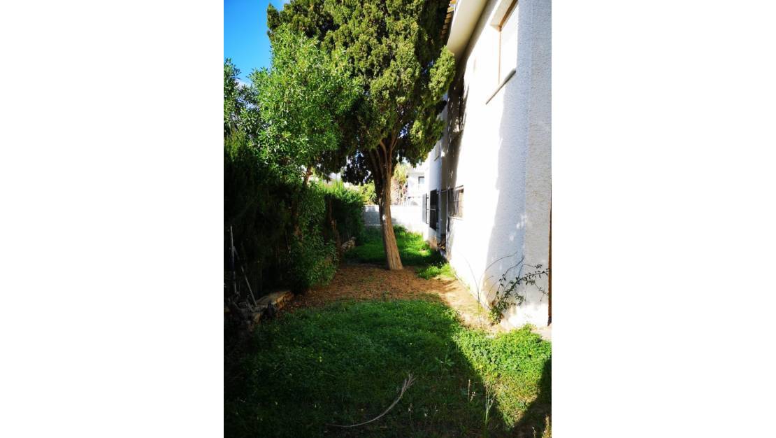 Sale - Villa - Orihuela - La Zenia