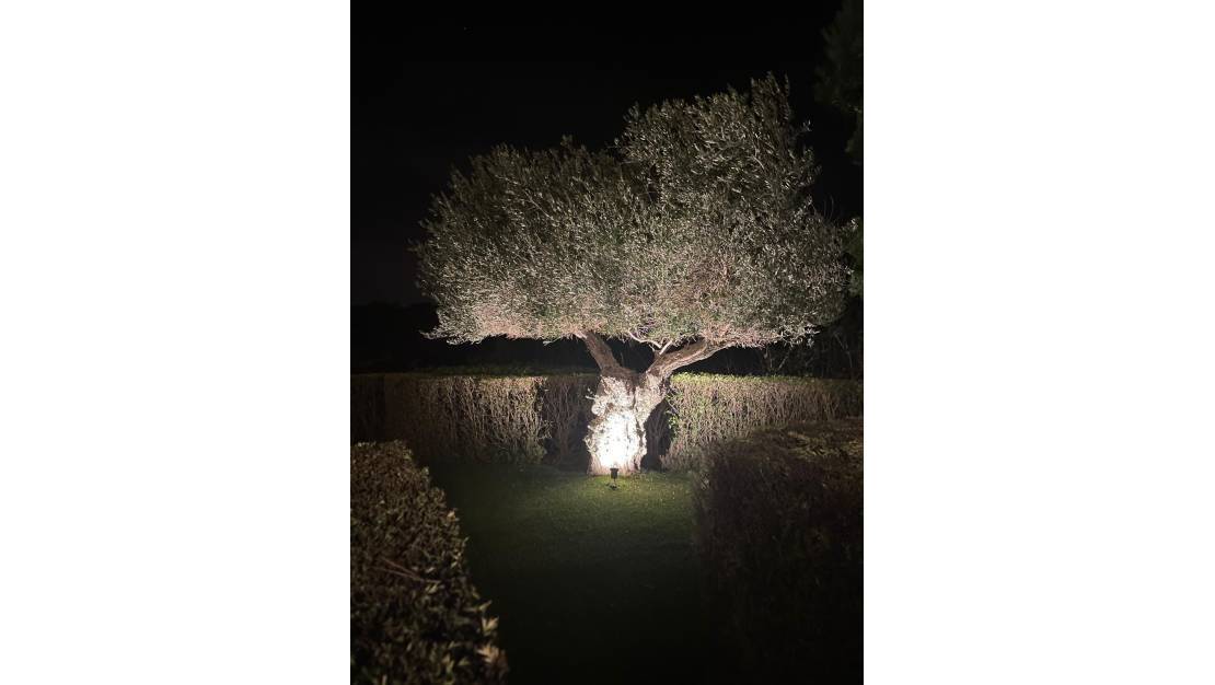 Sale - Villa - Orihuela - Las Colinas Golf