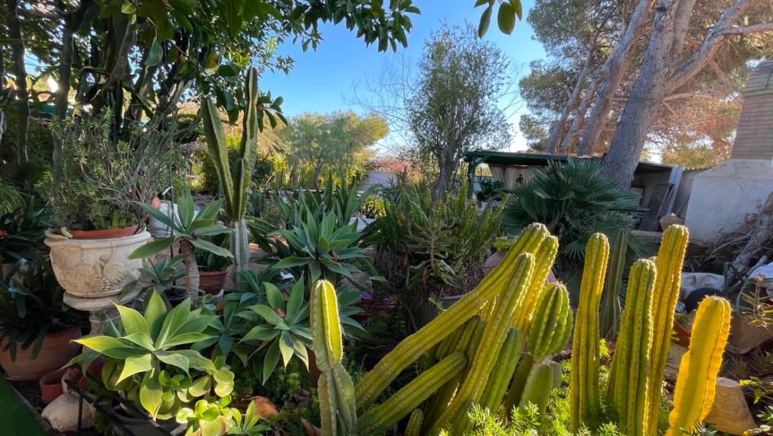 Sale - Villa - Orihuela - Lomas de Cabo Roig