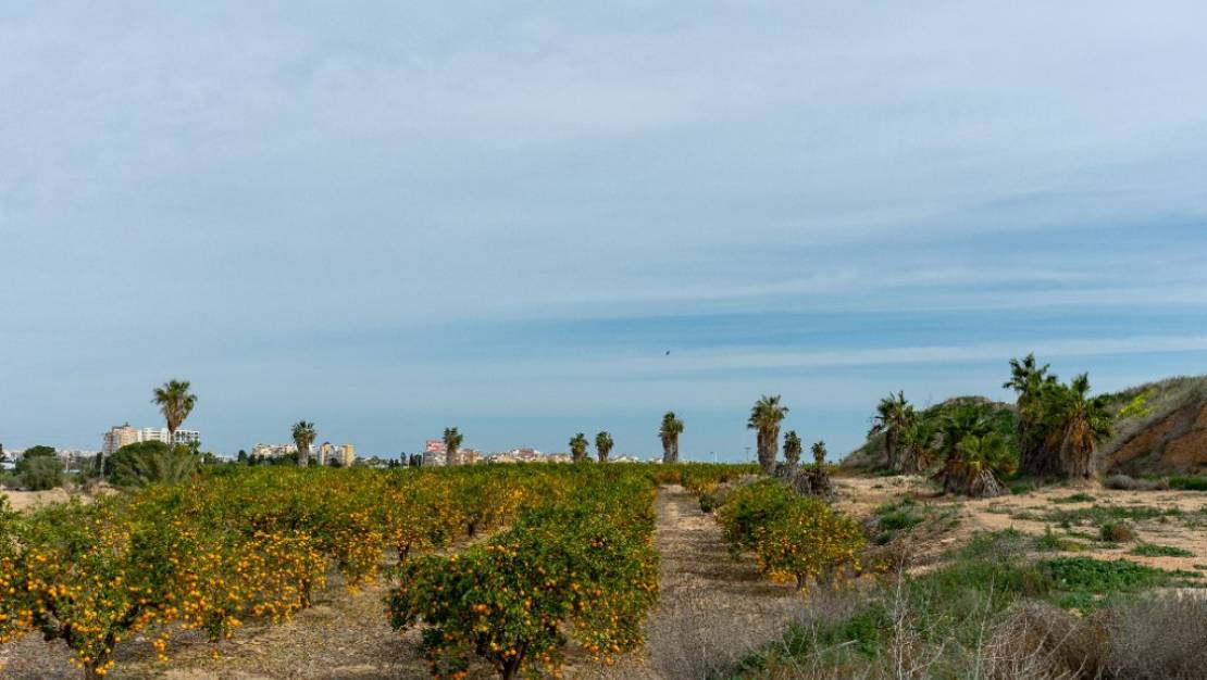 Sale - Villa - Orihuela - Los Altos