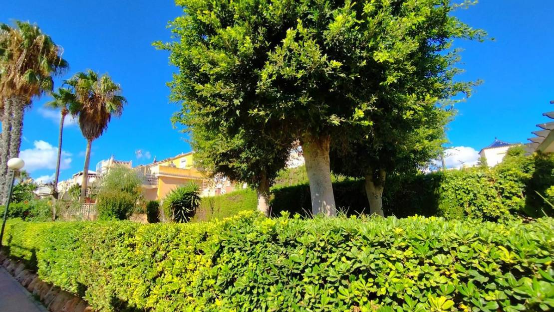 Sale - Villa - Orihuela - Los Altos