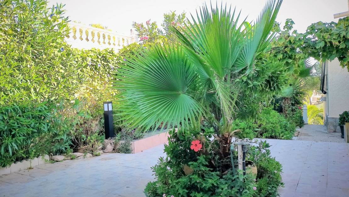 Sale - Villa - Orihuela - Los Balcones