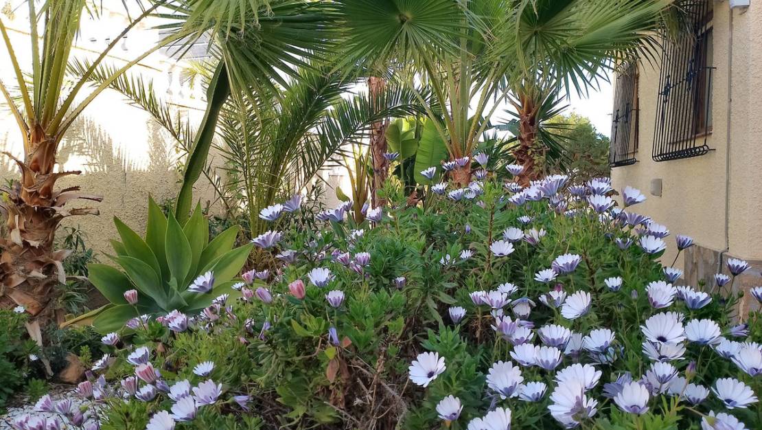 Sale - Villa - Orihuela - Los Balcones